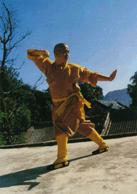 shiyongxin 1