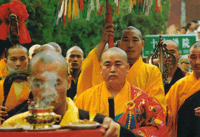 shiyongxin 3